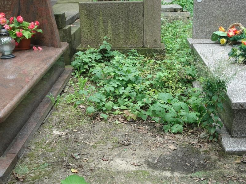 Zdjęcie grobu: Pole Grobowe