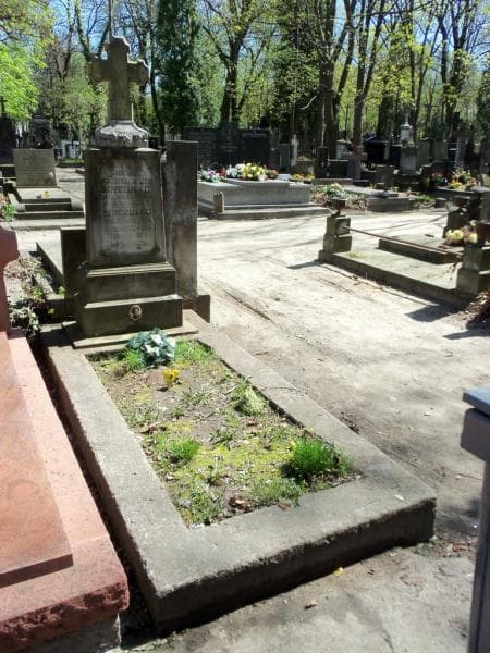 Zdjęcie grobu: Krystyna Brożyna