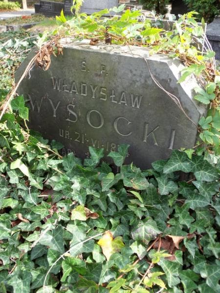 Zdjęcie grobu Władysław Wysocki (2)