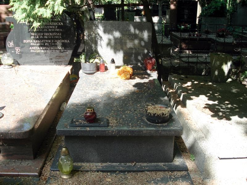 Zdjęcie grobu: Ludwik Waldemar Jezierski