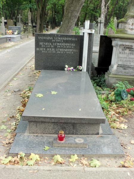 Zdjęcie grobu: Berta Julia Lewandowska