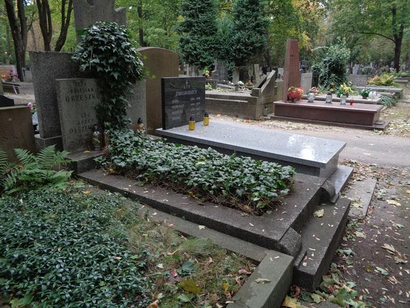 Zdjęcie grobu: Józef Olszewski