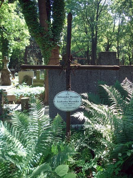 Zdjęcie grobu Aleksander Wysocki (1)