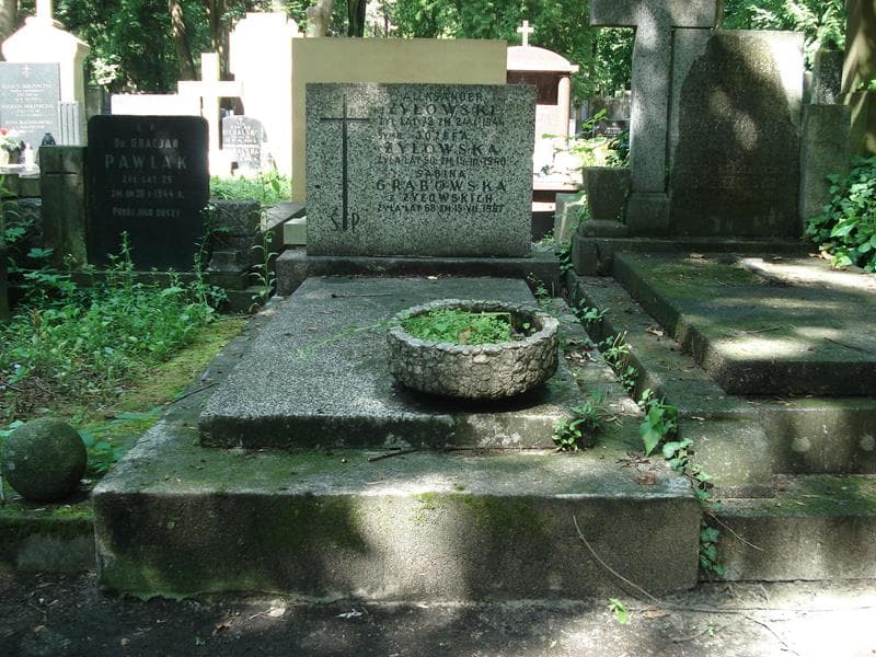 Zdjęcie grobu: Aleksander Żyłowski