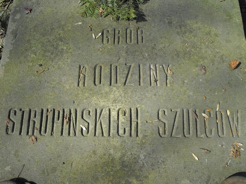 Zdjęcie grobu Strupińscy-Szulcowie (2)