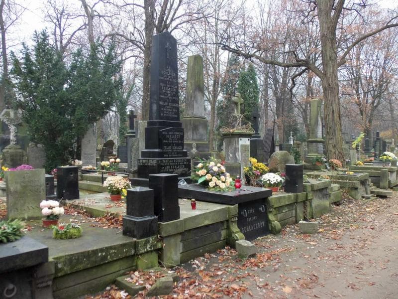Zdjęcie grobu Zofia Dąbrowska Szlager (1)
