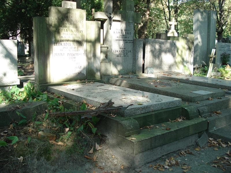 Zdjęcie grobu Janina Polkowska (1)