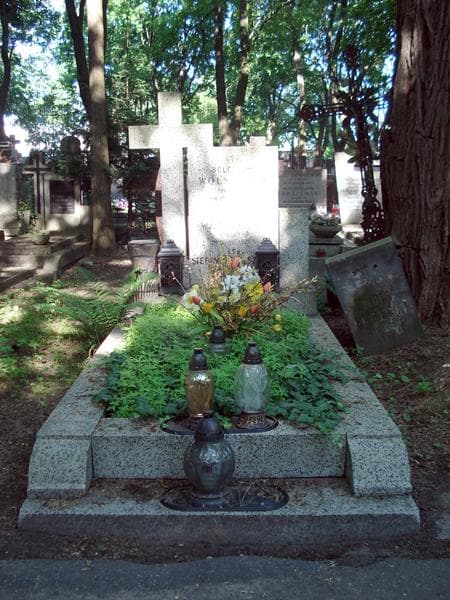 Zdjęcie grobu: Stefania Wolszczak