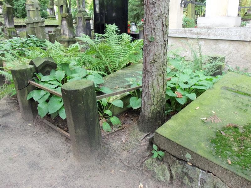 Zdjęcie grobu Kazimierz Hornowski (1)