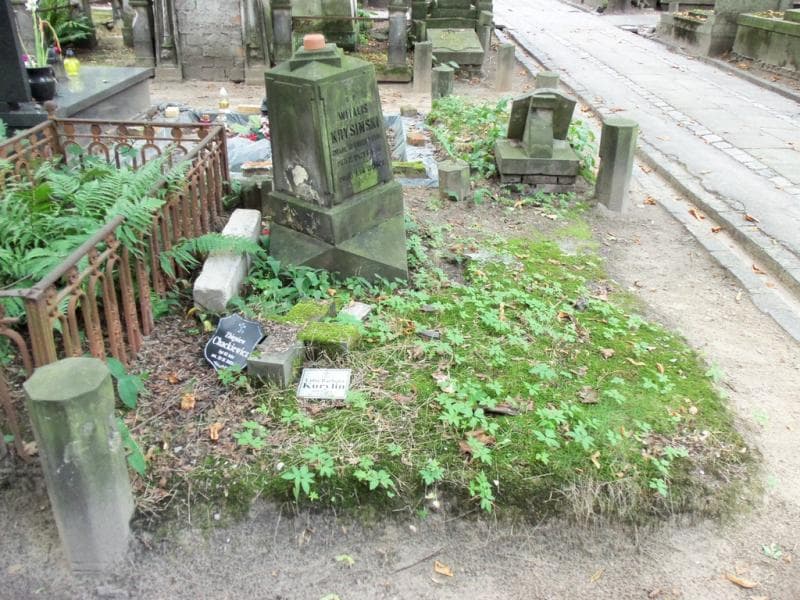 Zdjęcie grobu Witalis Krysiński (1)