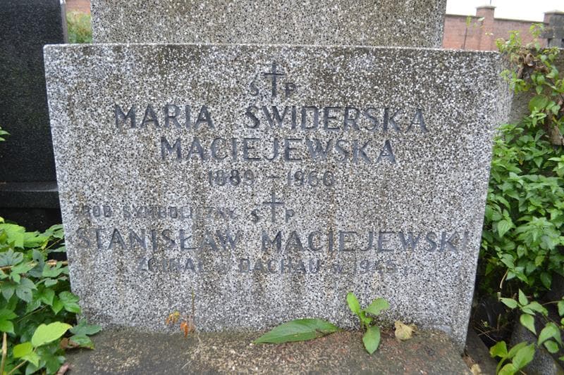 Zdjęcie grobu Stanisław Maciejewski (2)