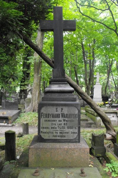 Zdjęcie grobu Celestyna Warawska (2)
