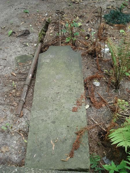 Zdjęcie grobu Konstanty Brzozowski (2)