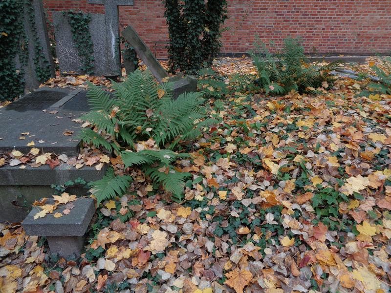 Zdjęcie grobu Zofja De Gart (1)