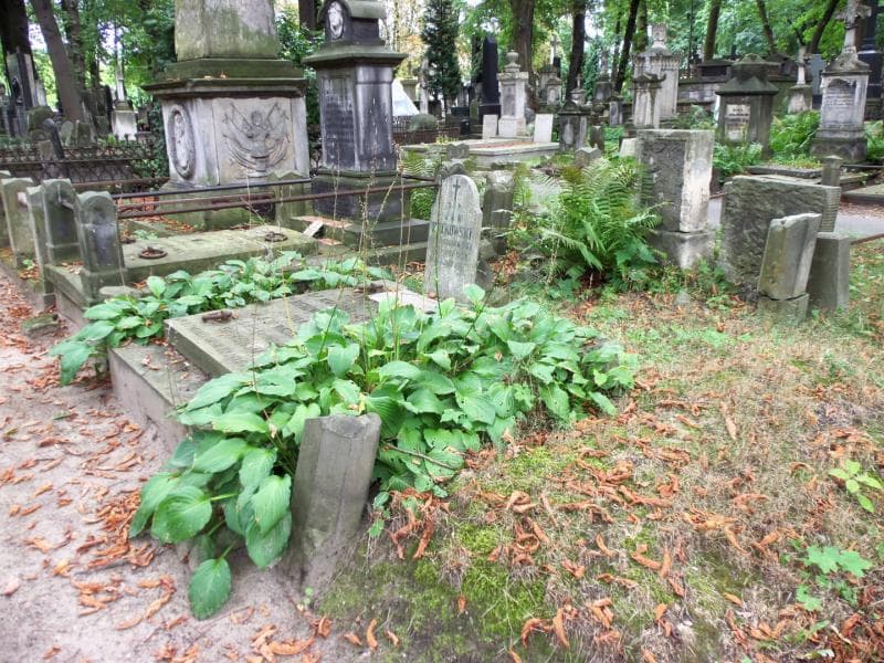 Zdjęcie grobu Maryanna Czyżewska (2)
