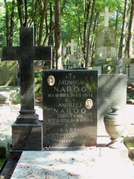 Zdjęcie grobu Franciszek Naróg (2)