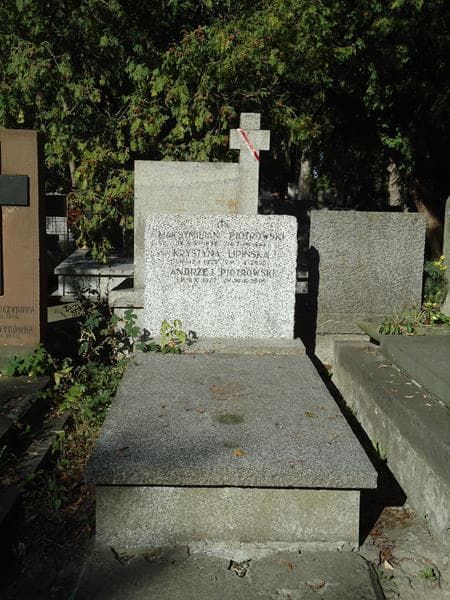 Zdjęcie grobu: Andrzej Piotrowski