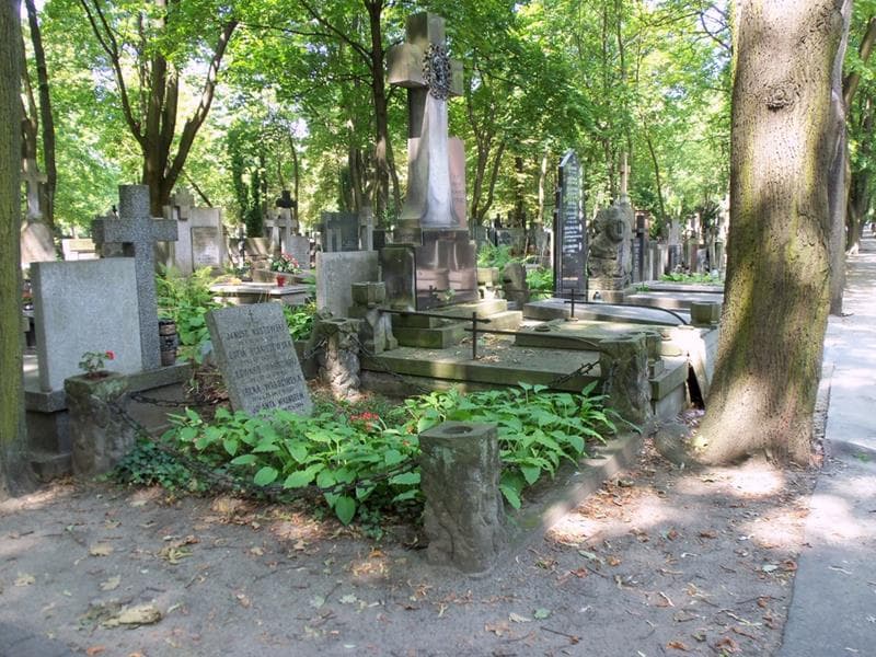 Zdjęcie grobu: Irena Wardzińska