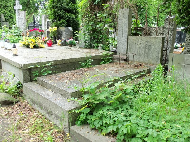 Zdjęcie grobu Wincenty Kozłowski (1)