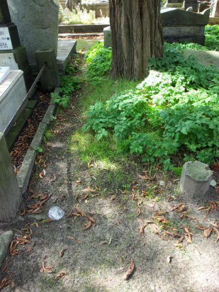 Zdjęcie grobu: Pole Grobowe