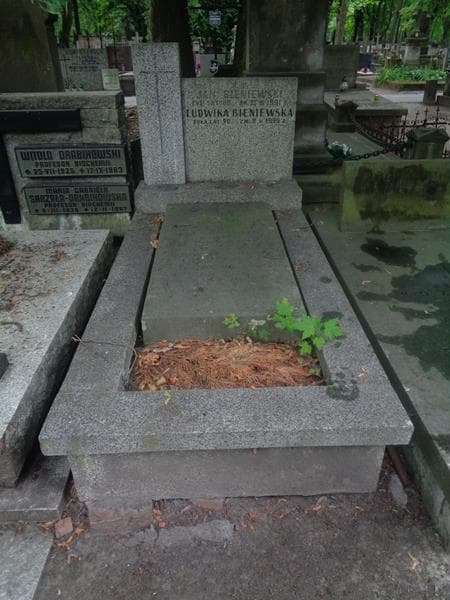 Zdjęcie grobu Wiktorja Olkiewicz (1)