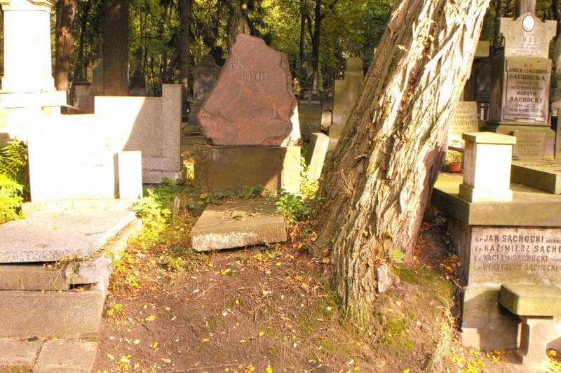 Zdjęcie grobu: Erazm Lissner