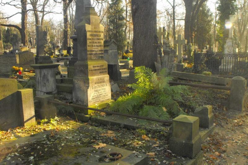 Zdjęcie grobu Włodzimierz Oberfeld (1)