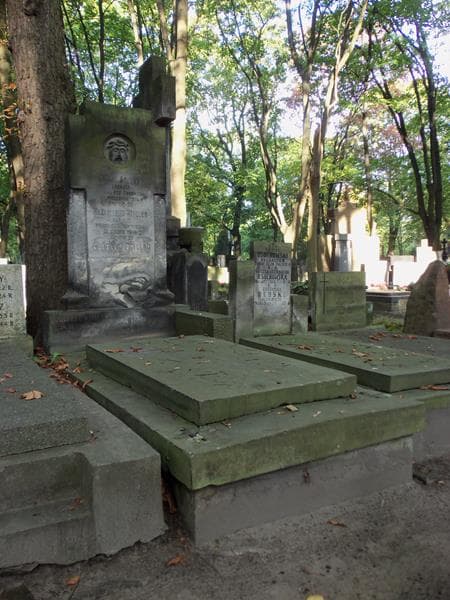 Zdjęcie grobu Roman Stiller (1)