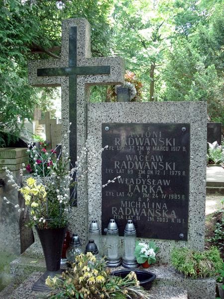 Zdjęcie grobu Władysław Tarka (1)
