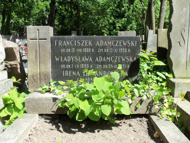 Zdjęcie grobu Władysława Adamczewska (2)