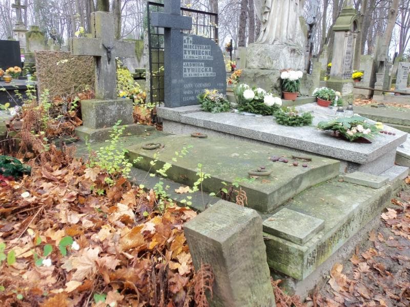 Zdjęcie grobu Jędrzejewiczowie (1)