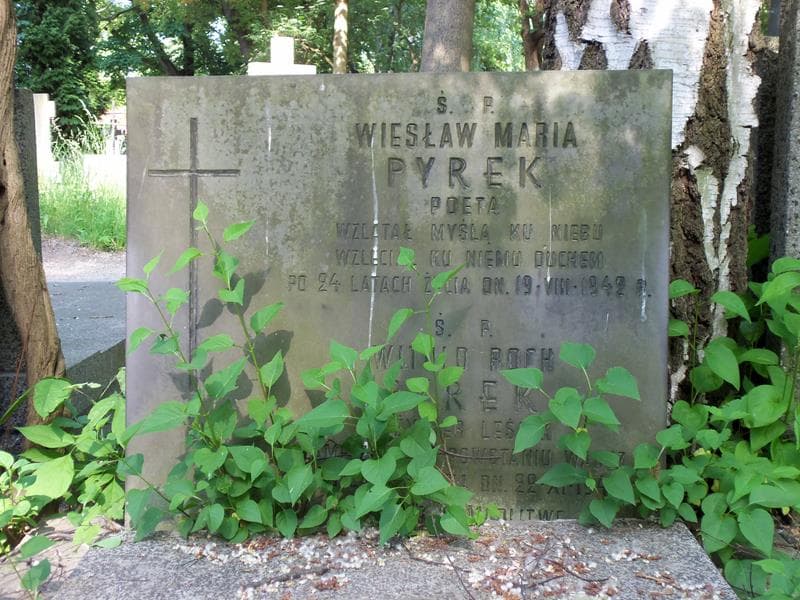 Zdjęcie grobu Witold Roch Pyrek (2)