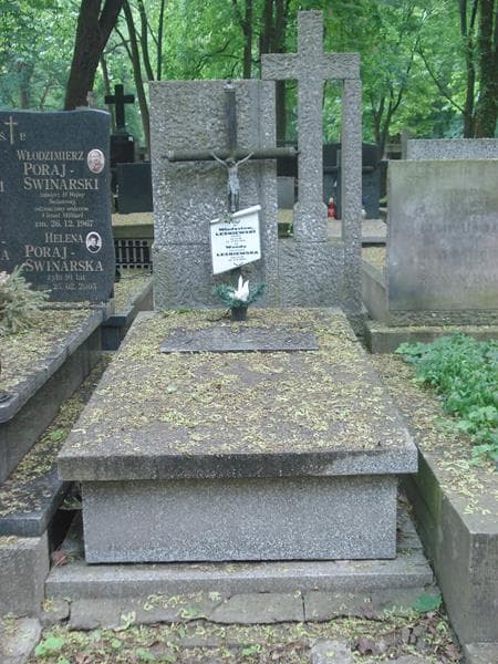 Zdjęcie grobu: Władysław Leśniewski