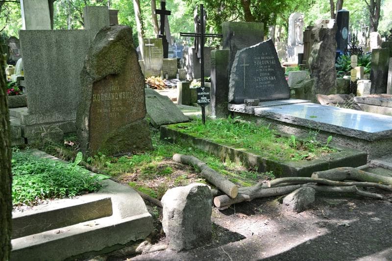 Zdjęcie grobu: Józef Kochanowski