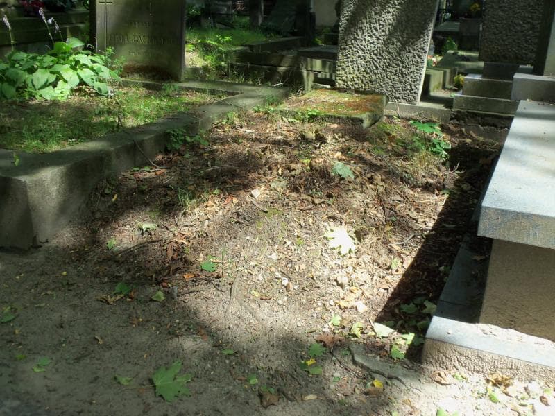 Zdjęcie grobu Leon Myszkowski (1)