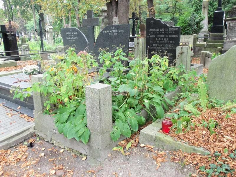 Zdjęcie grobu Jan Miklaszewski (1)