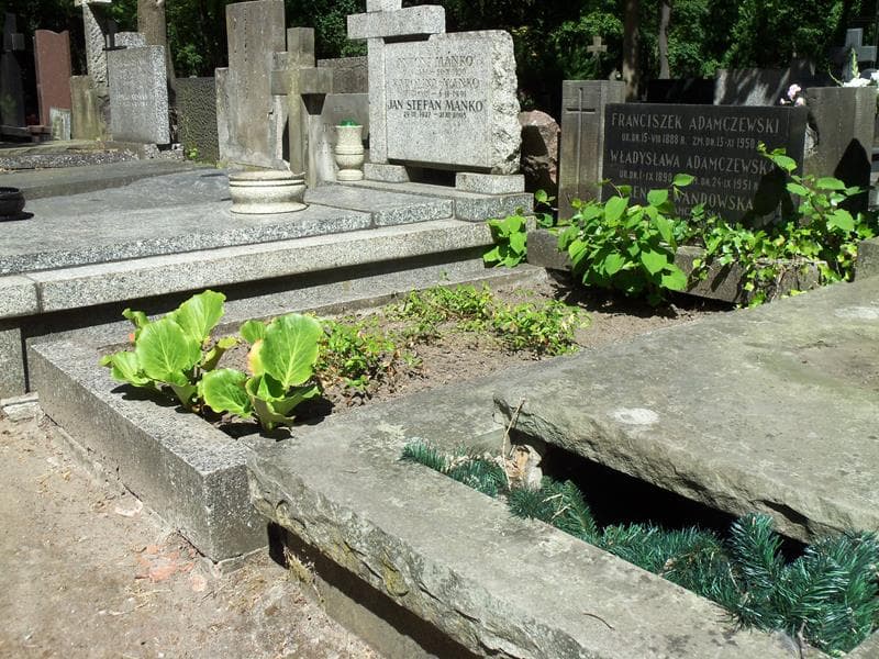 Zdjęcie grobu Władysława Adamczewska (1)