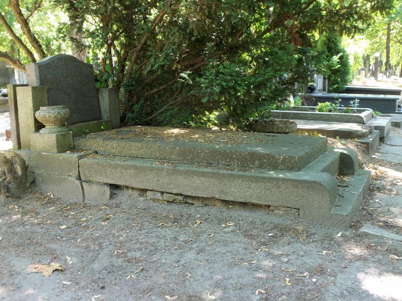 Zdjęcie grobu Bronisław Horodko (1)