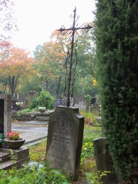 Zdjęcie grobu Władysław Perko (1)