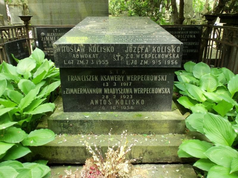 Zdjęcie grobu Irena Iwanowska - Buksowicz (2)