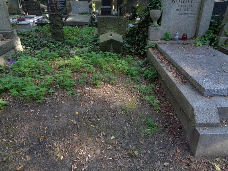 Zdjęcie grobu Kazimierz Brożyński (1)
