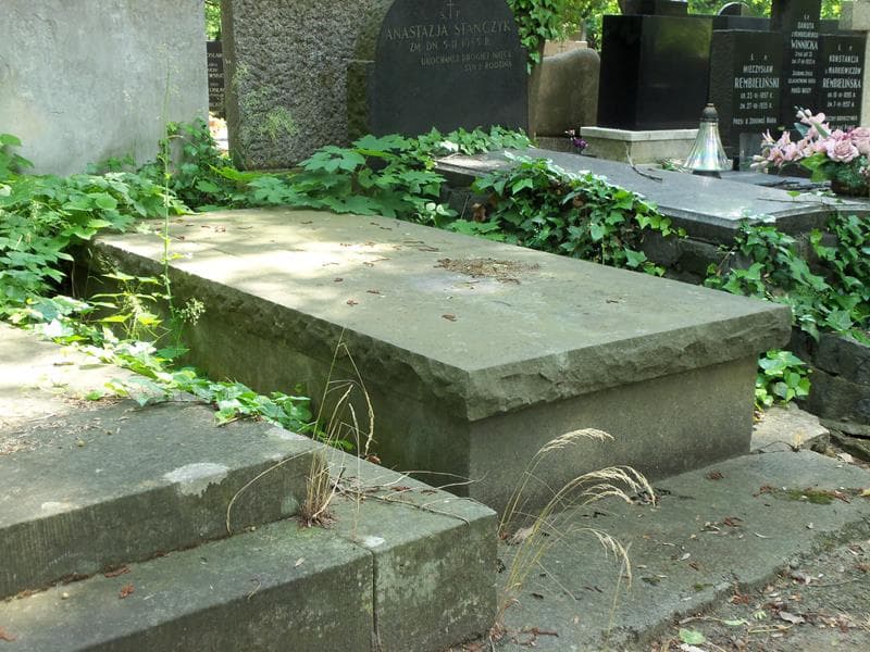 Zdjęcie grobu Mieczysław Borowy (1)