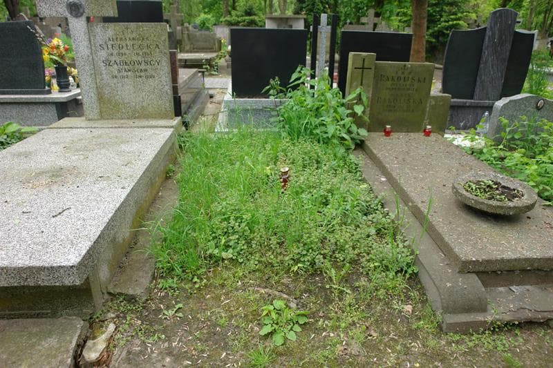 Zdjęcie grobu: Pole Grobowe