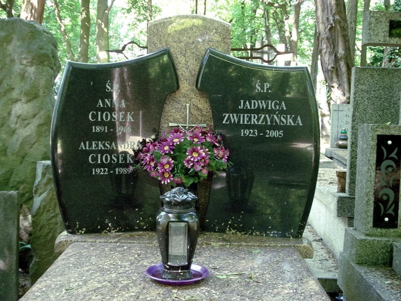 Zdjęcie grobu Anna Ciosek (1)