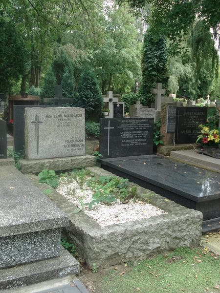 Zdjęcie grobu Leon Mikołajski (1)