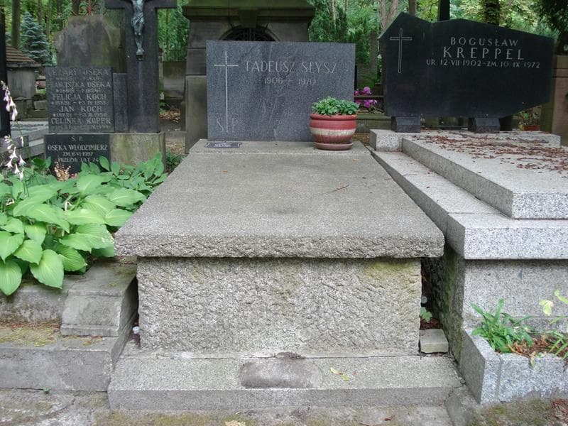 Zdjęcie grobu Barbara Słysz (1)