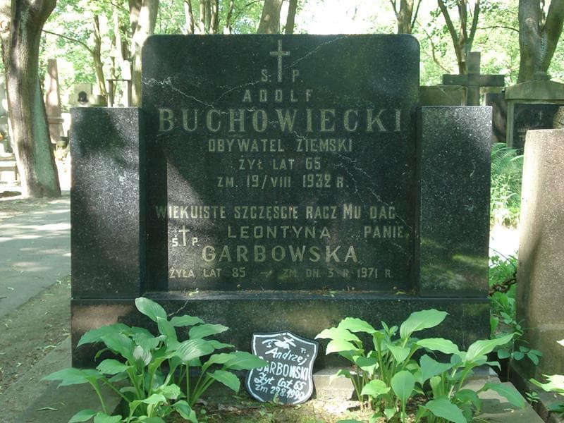 Zdjęcie grobu Adolf Buchowiecki (2)