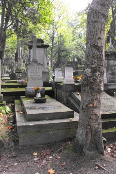 Zdjęcie grobu: Helena Piotrowska