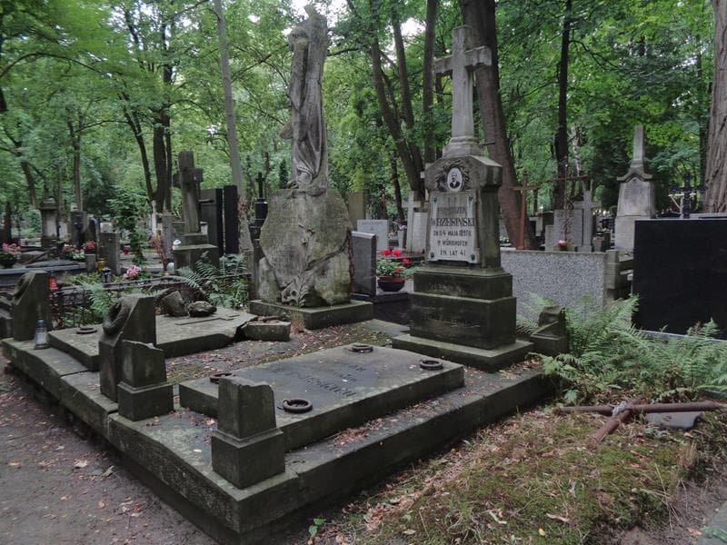 Zdjęcie grobu: Franciszek Wrzesiński