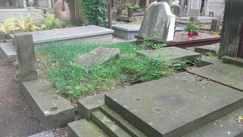 Zdjęcie grobu Konstancja Limanowa (2)